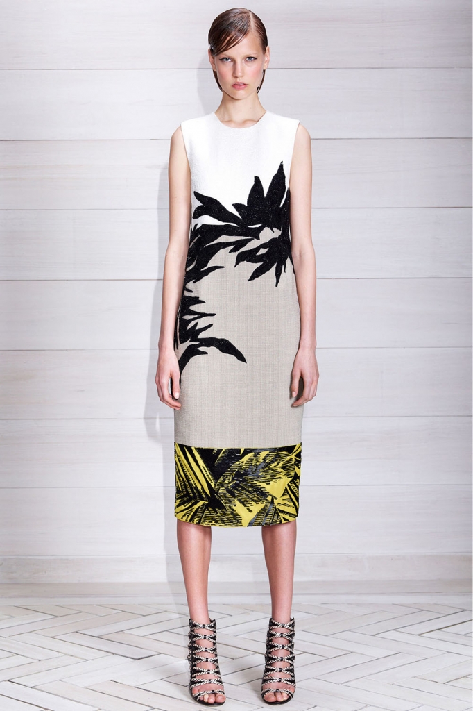 jacquelyn-jablonski-elisabeth-erm-and-alana-bunte-for-jason-wu-resort-2014-19