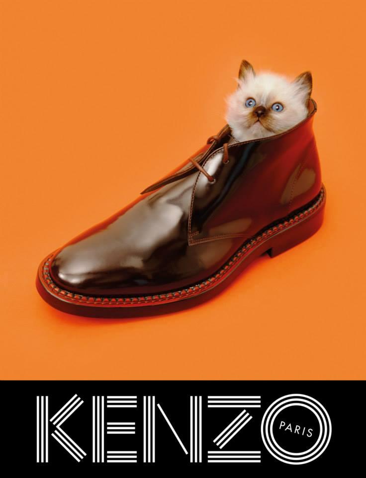sean-opry-rinko-kikuchi-for-kenzo-fall-winter-2013-2014-campaign-by-pierpaolo-ferrari-4
