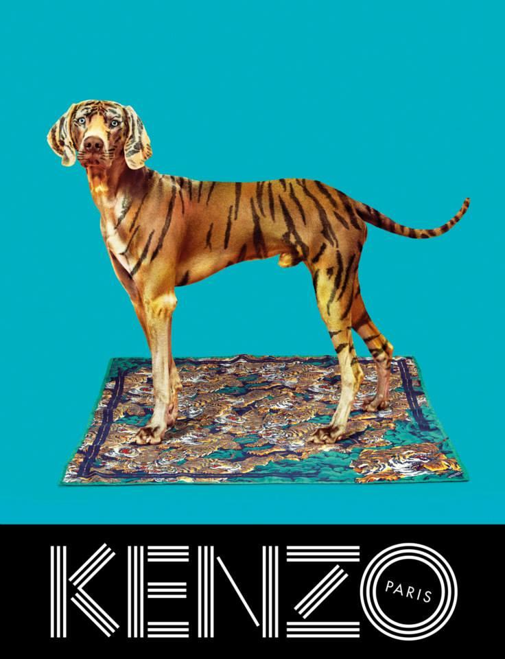 sean-opry-rinko-kikuchi-for-kenzo-fall-winter-2013-2014-campaign-by-pierpaolo-ferrari-8
