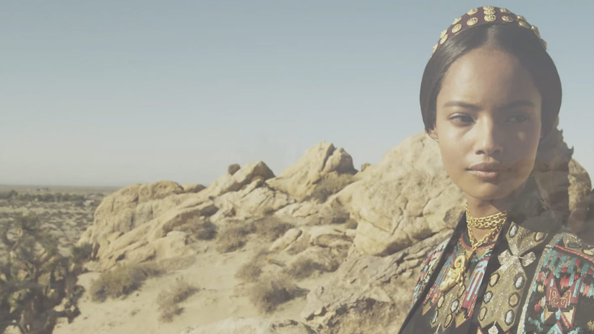 Valentino Spring/Summer 2014 Ad Campaign
