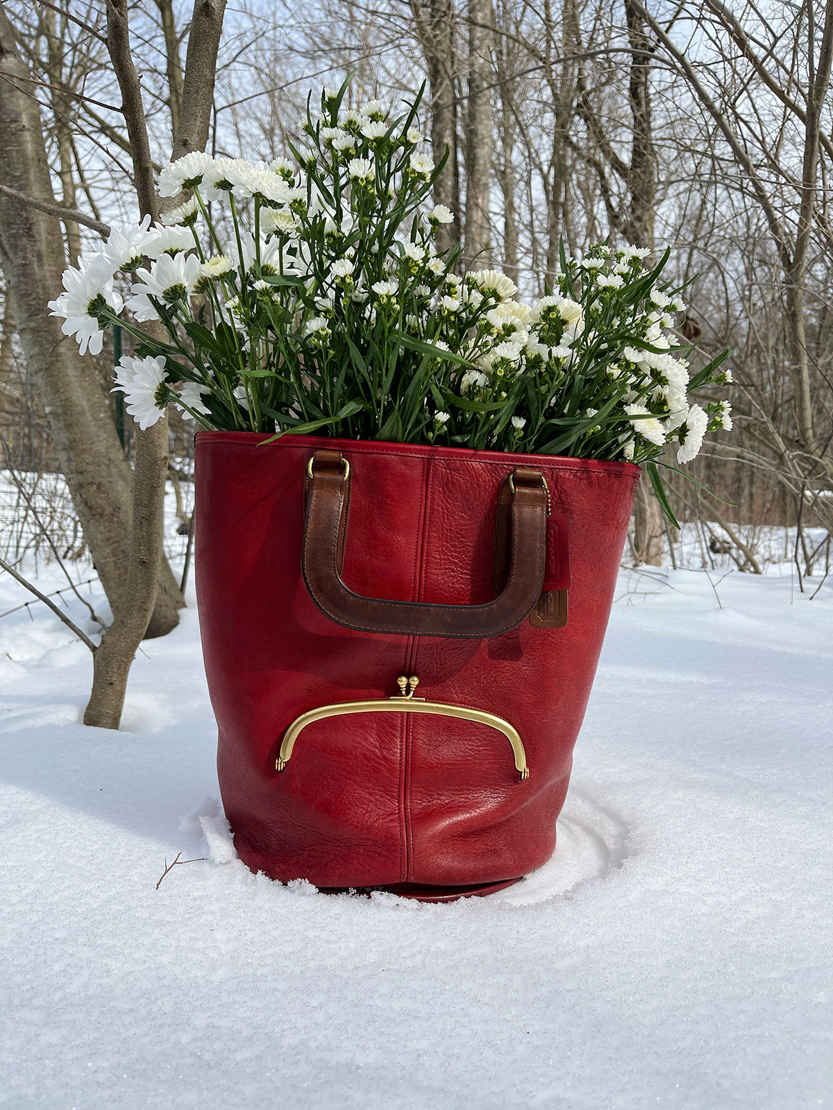 coach-fall-winter-2021