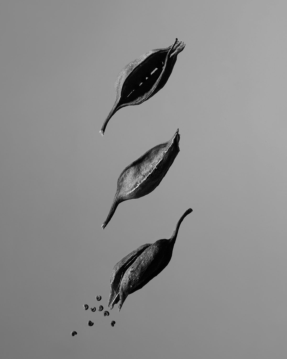 AESOP Miraceti