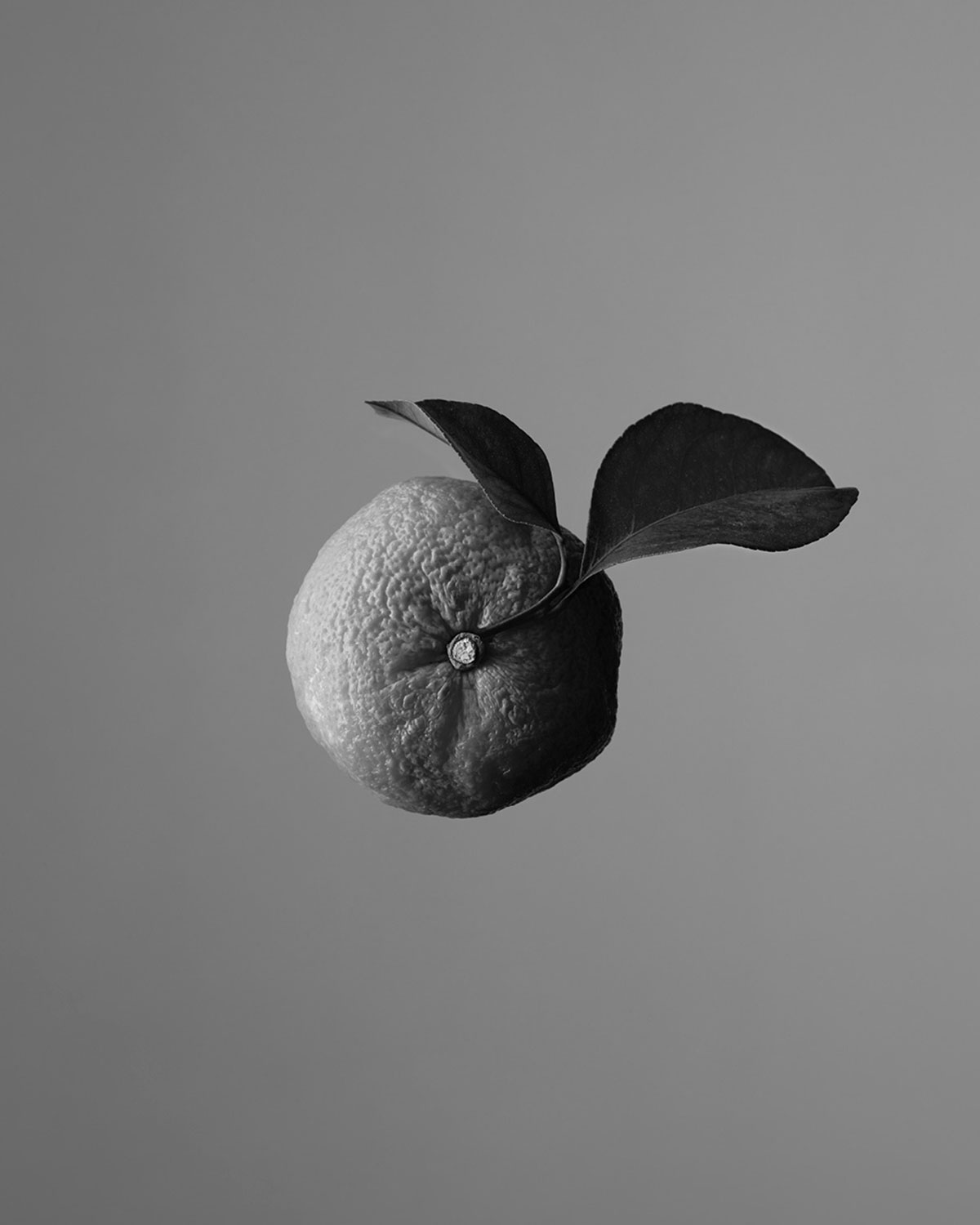 AESOP