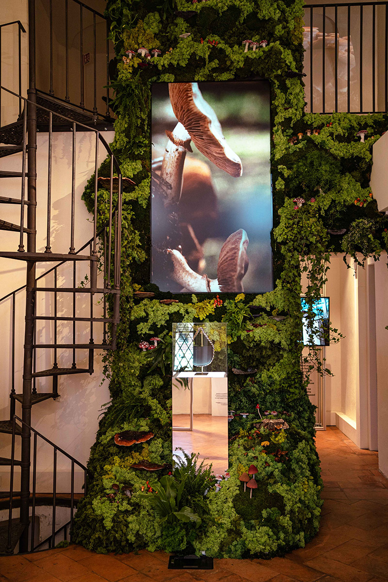 “Future of Fashion.” An innovation conversation with Stella McCartney