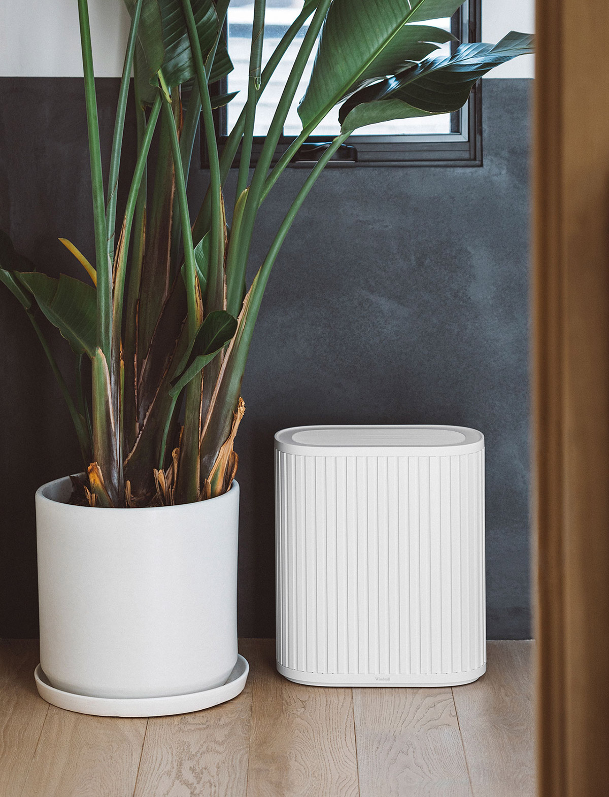 The Windmill Air Purifier