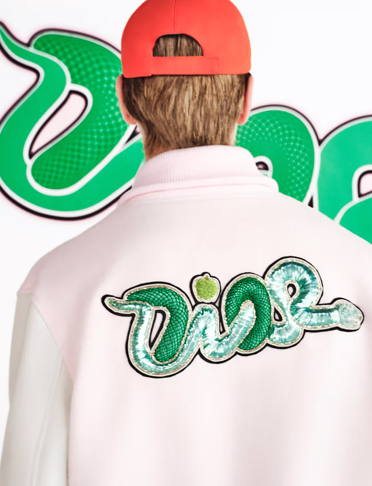 Dior and KAWS