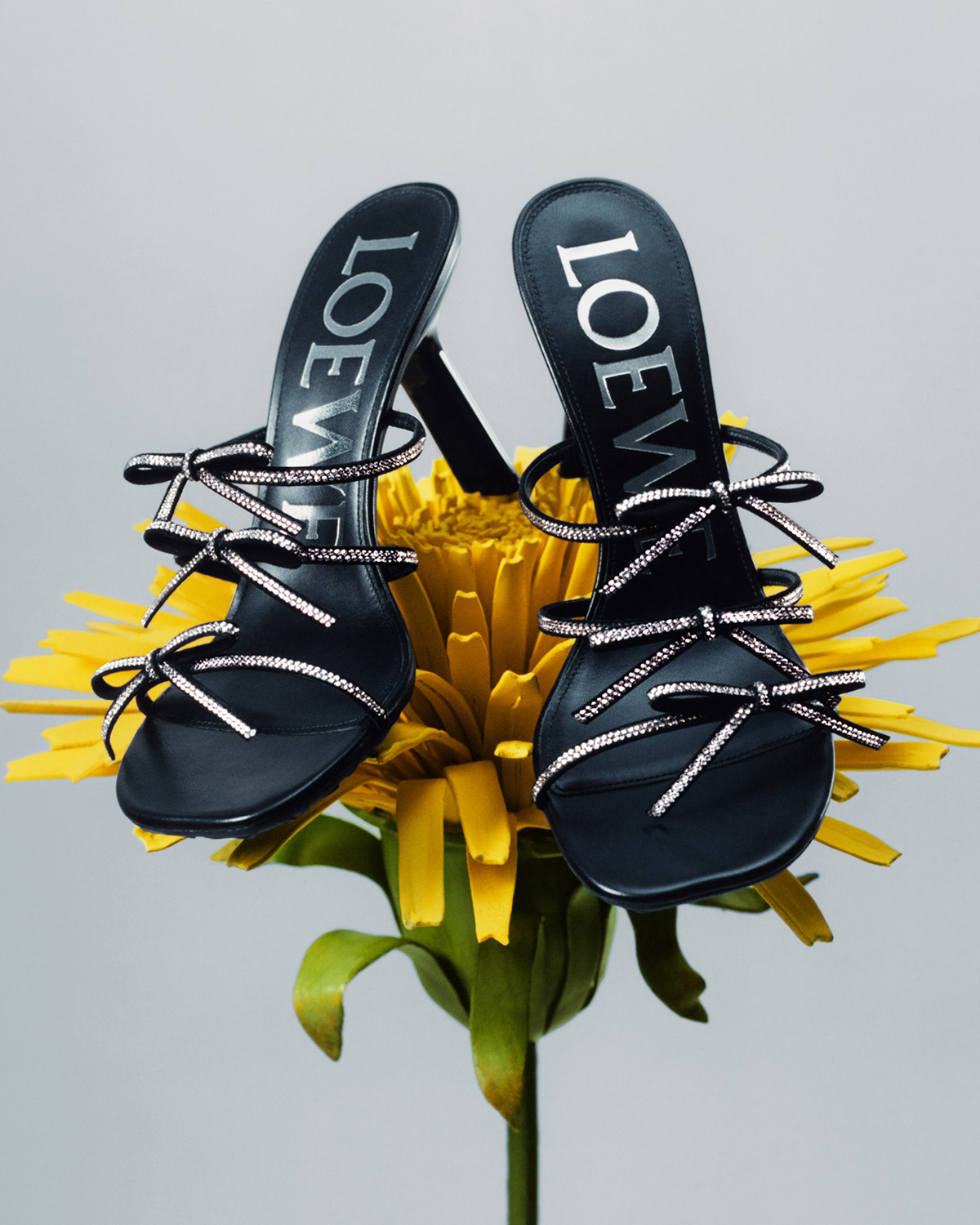 LOEWE X Suna Fujita