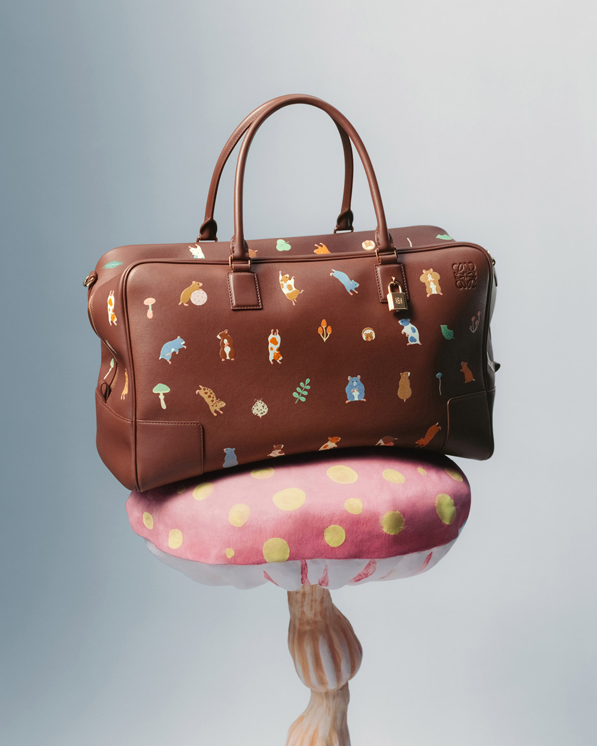 LOEWE X Suna Fujita