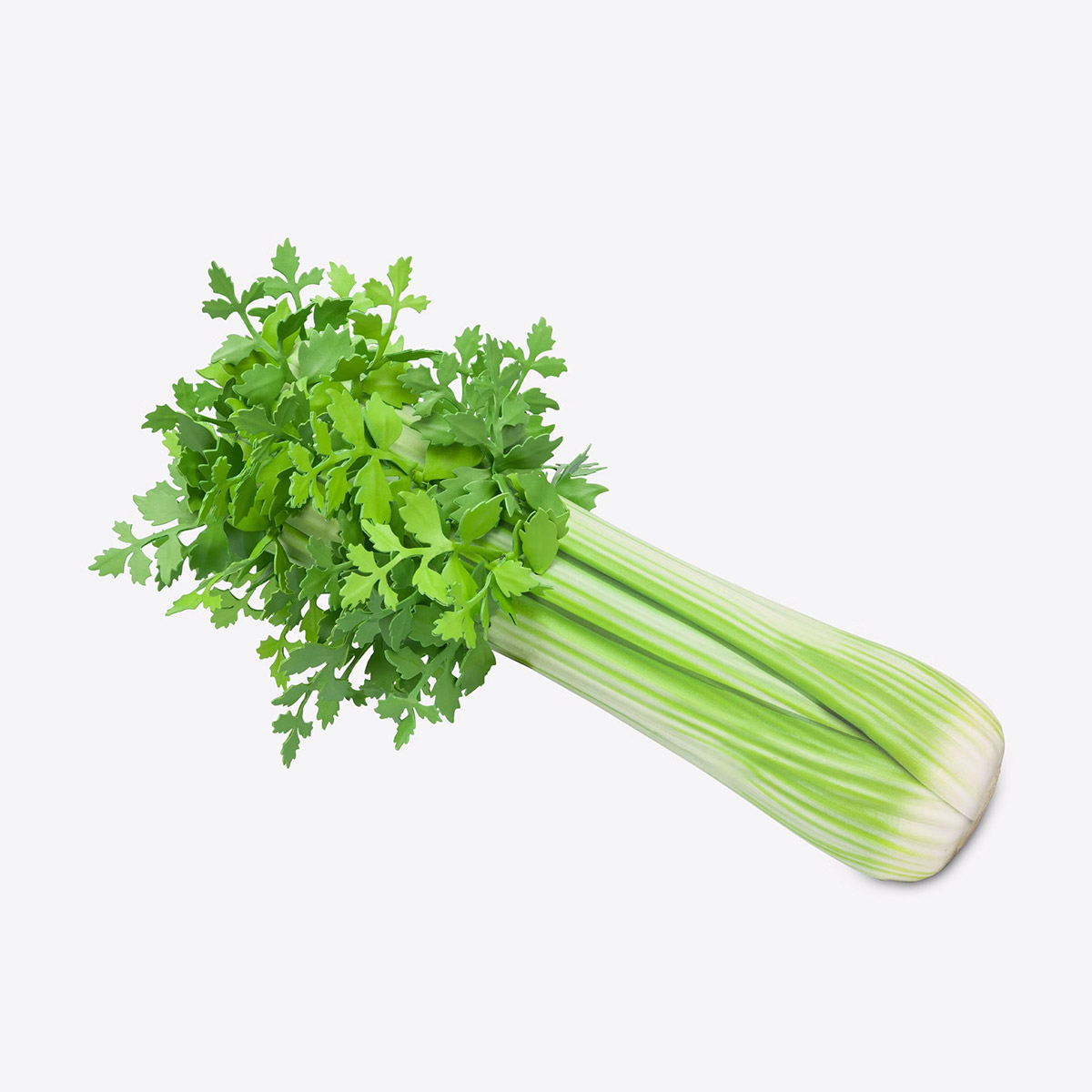 Moschino's Sedano (Celery) Bag