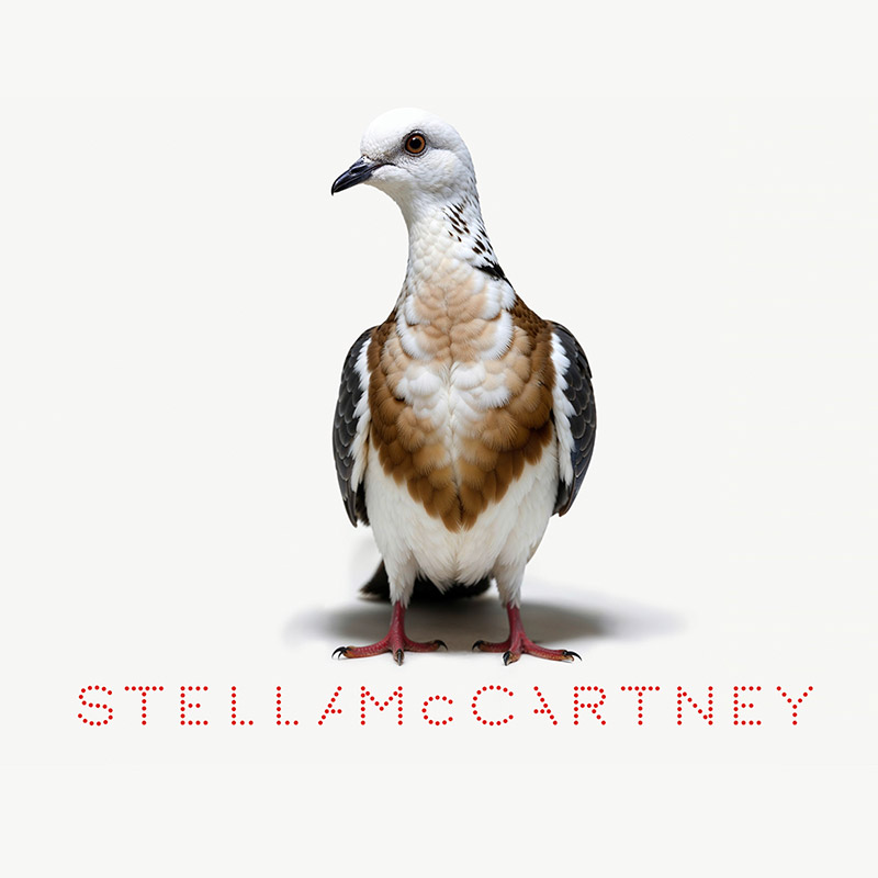 Stella McCartney’s AI Birds Are a Warning in the Summer 2025 Campaign