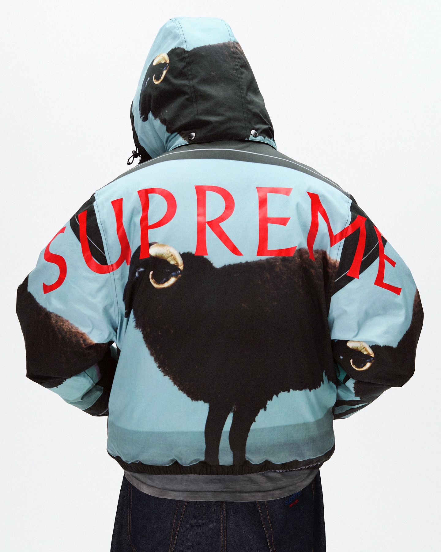 Supreme Damien Hirst 2025
