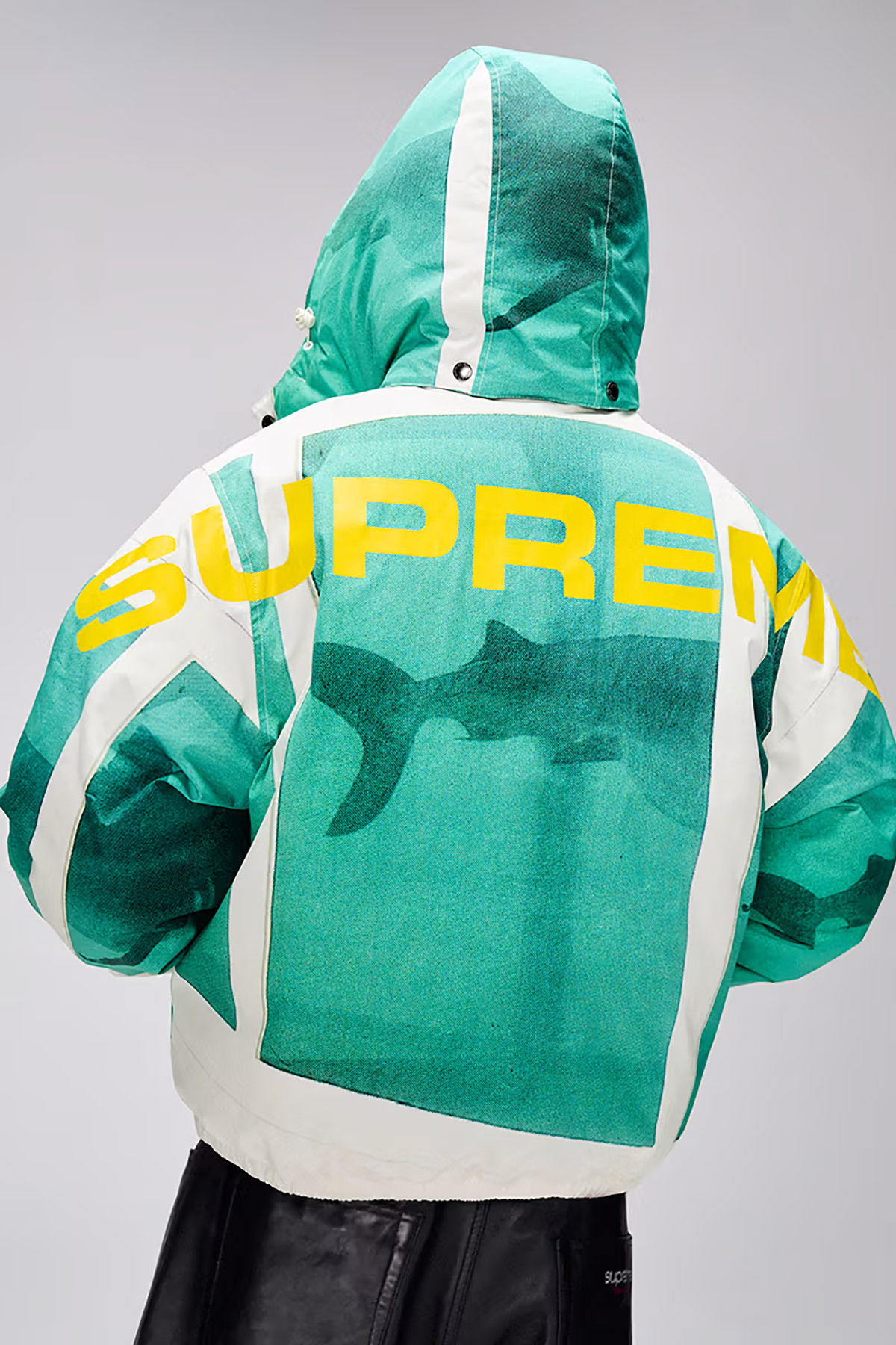 Supreme Spring 2025 Collection, jacket with shark