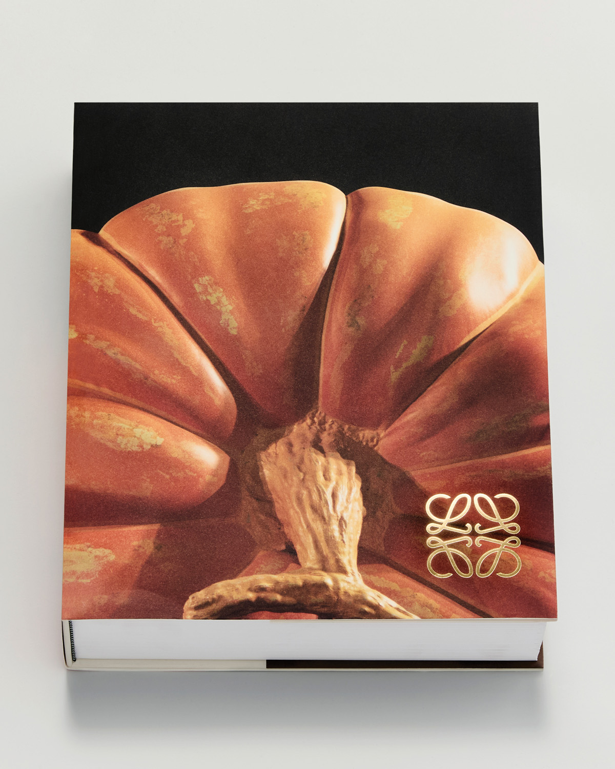 Crafted World: Jonathan Anderson’s LOEWE | Courtesy of LOEWE