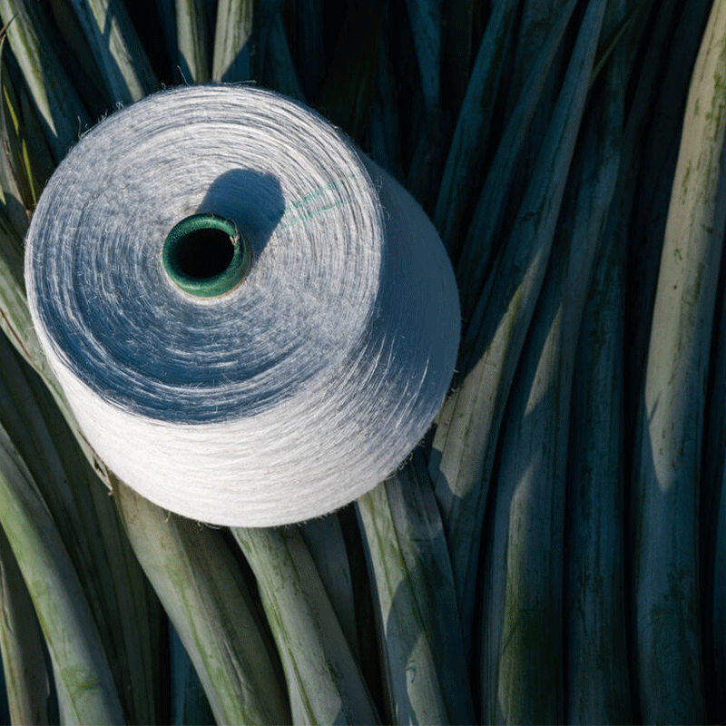 9 Fashion Activists Leading the Green Movement