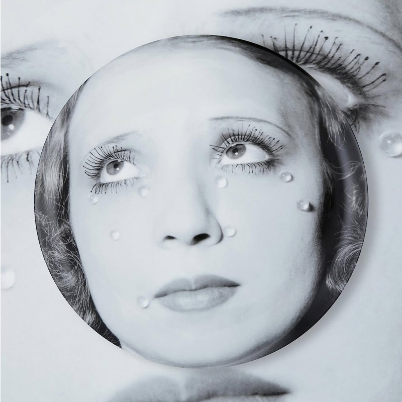 Artist Plate Project Announces 2025 Lineup of Artists