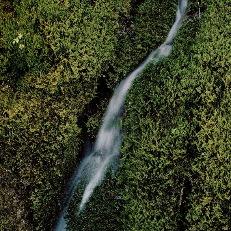 Kering Expands its Climate Initiative to Target Water Efficiency