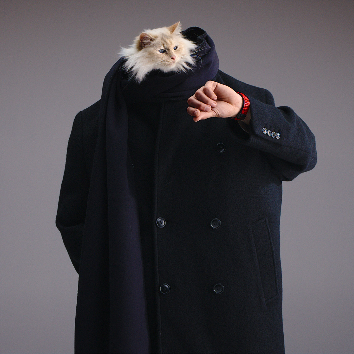 Karl Lagerfeld’s Cat Choupette Fronts Hublot’s Campaign