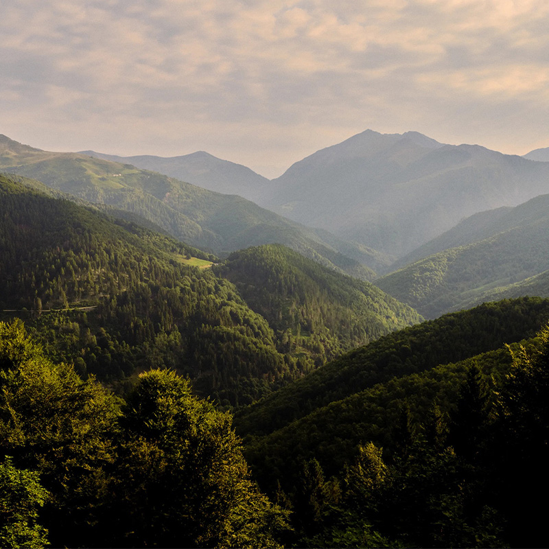 Zegna’s Oasi Environmental Initiative Arrives in Aspen