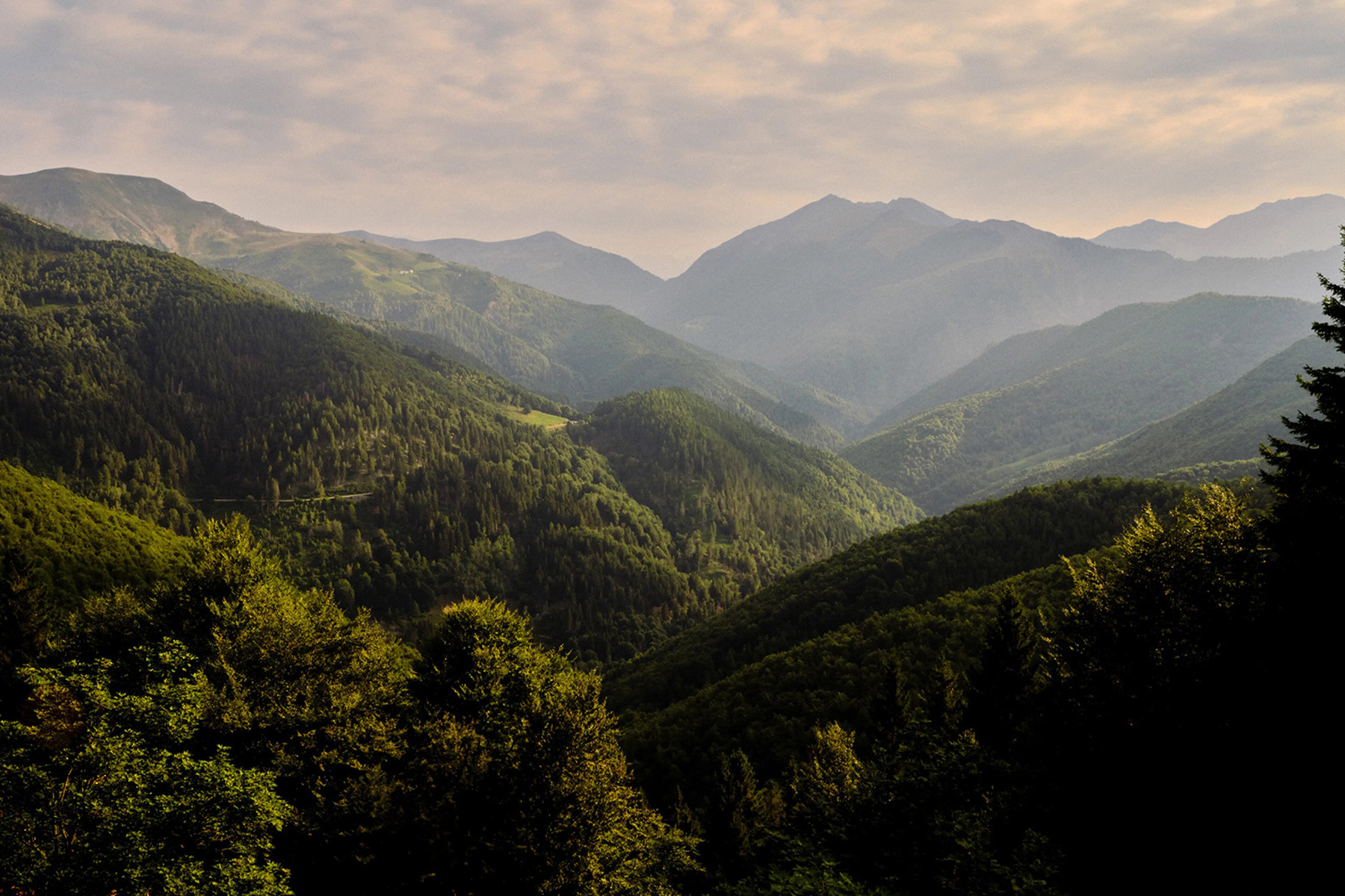 A view of the Oasi Zegna preserve in Italy | Source: Zegna