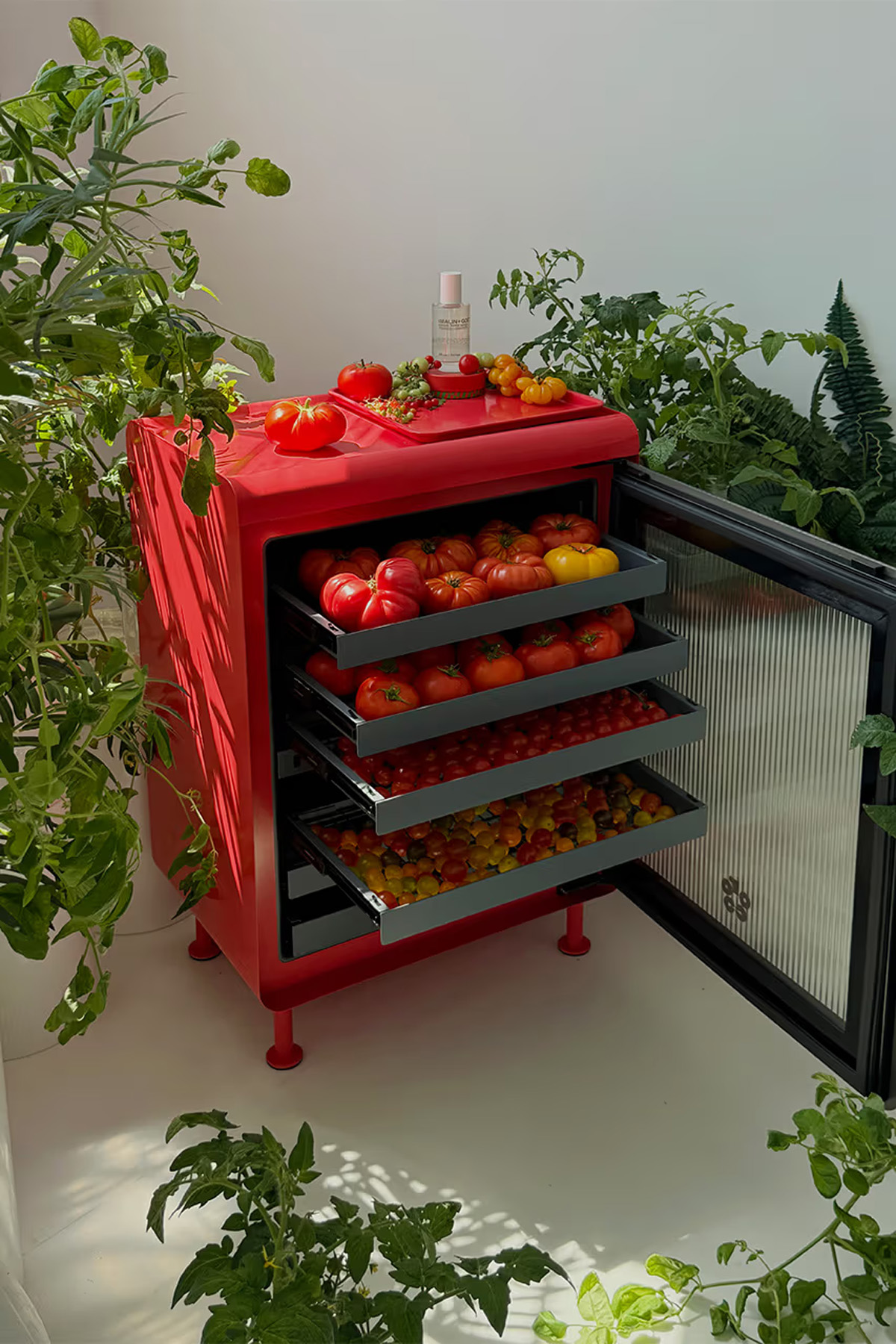 MALIN+GOETZ x Rocco Fridge | Source: Rocco