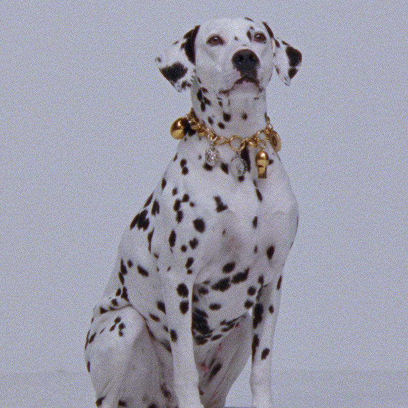 The New Celine Charms Collection Brings Back the Art of Collecting