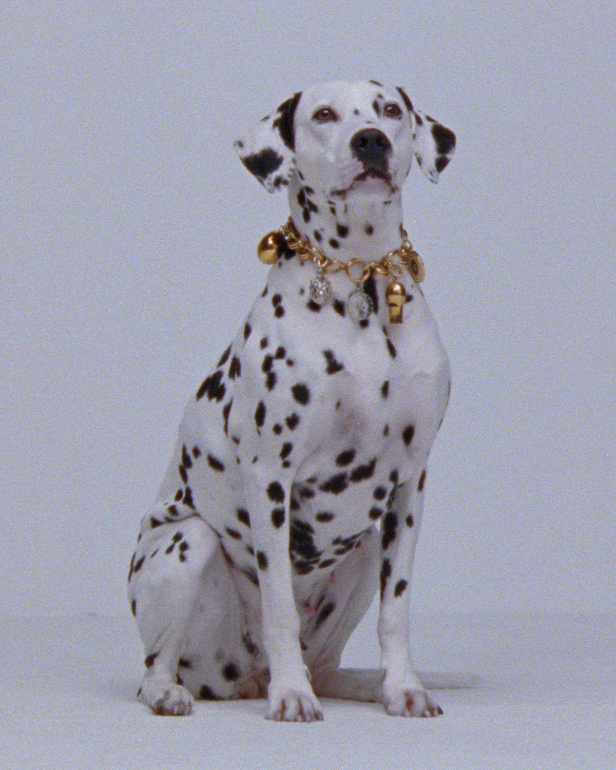 CELINE Charms Spring 2026