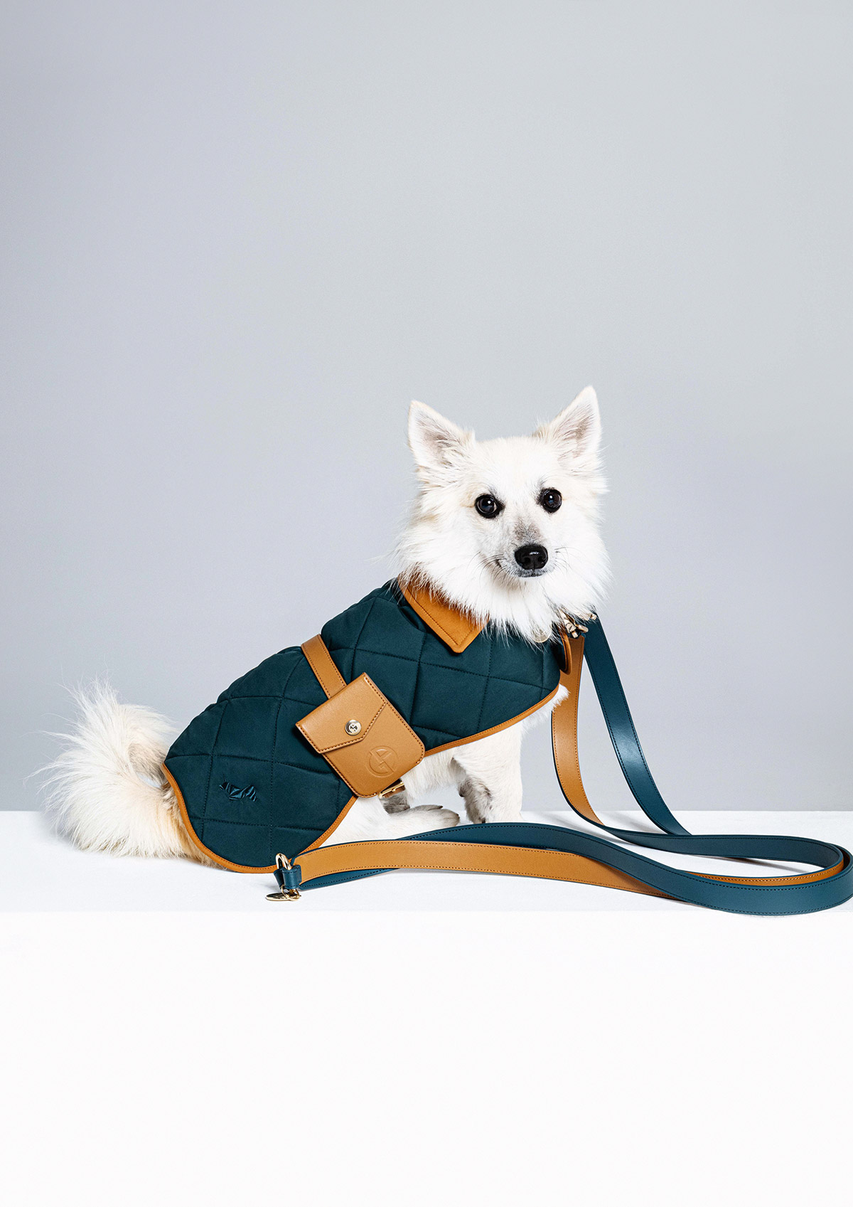 Giorgio Armani Poldo Dog Couture