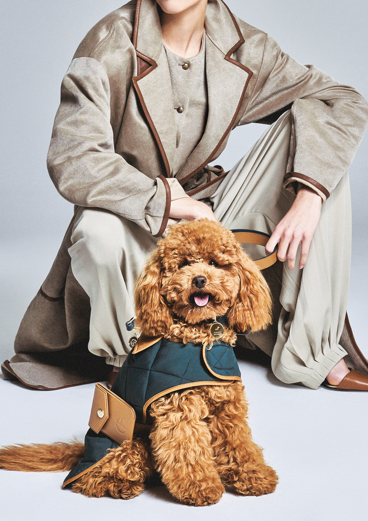 Giorgio Armani Poldo Dog Couture