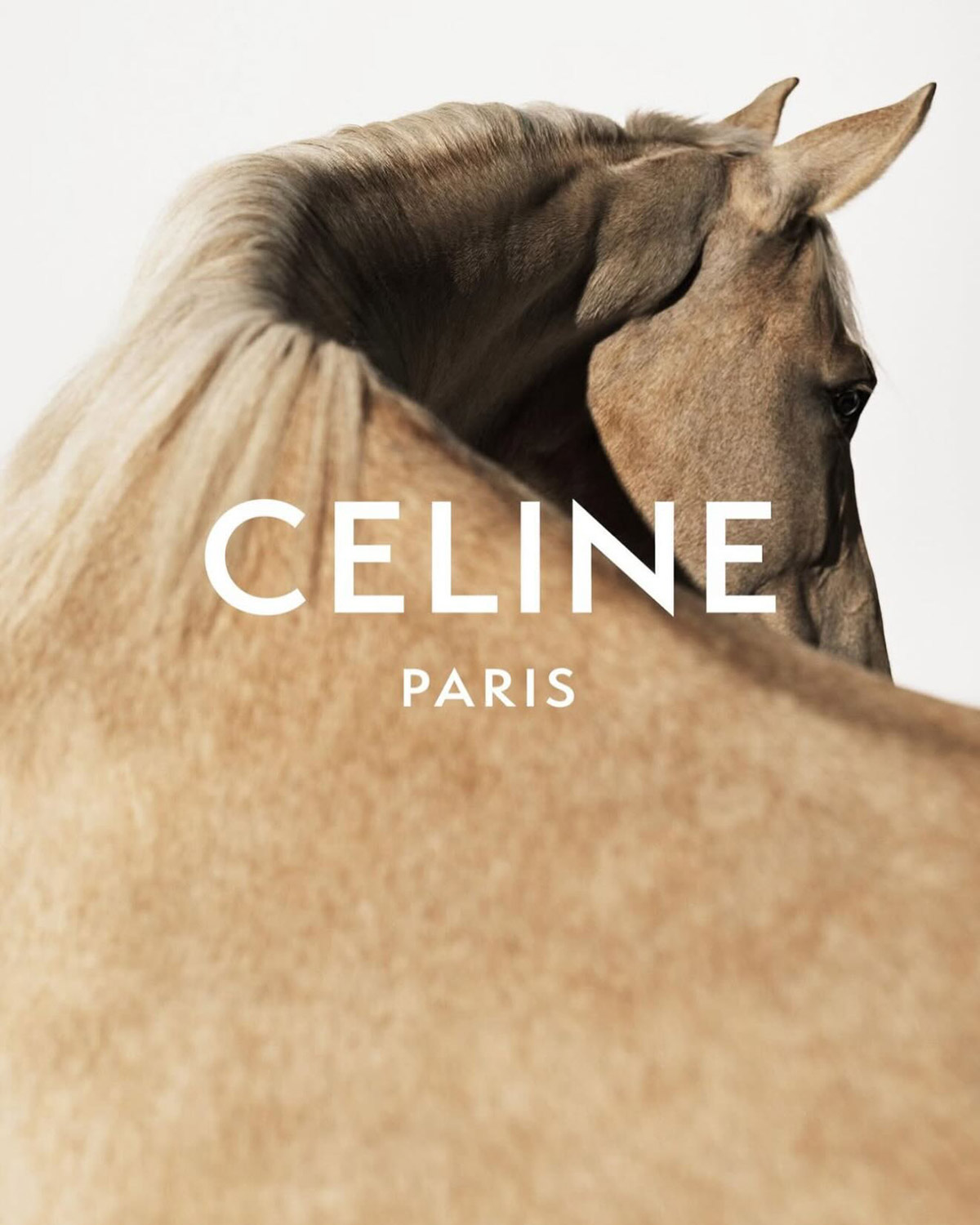 Celine Lunar New Year 2026