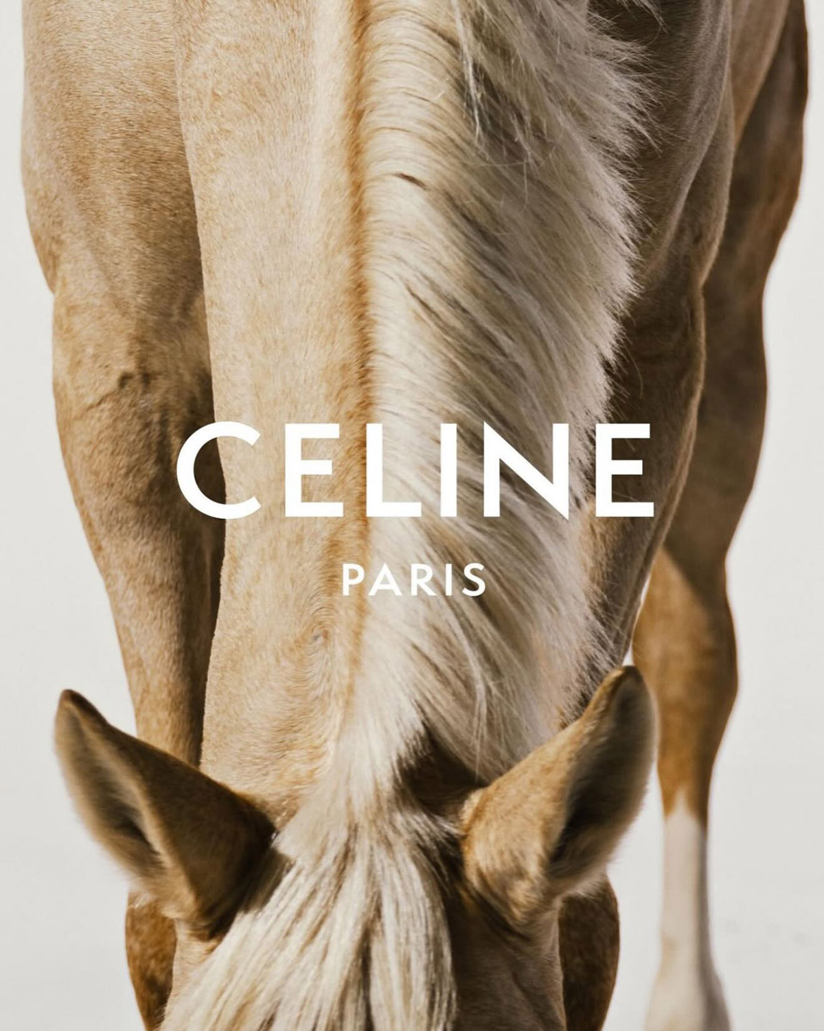 Celine Lunar New Year 2026