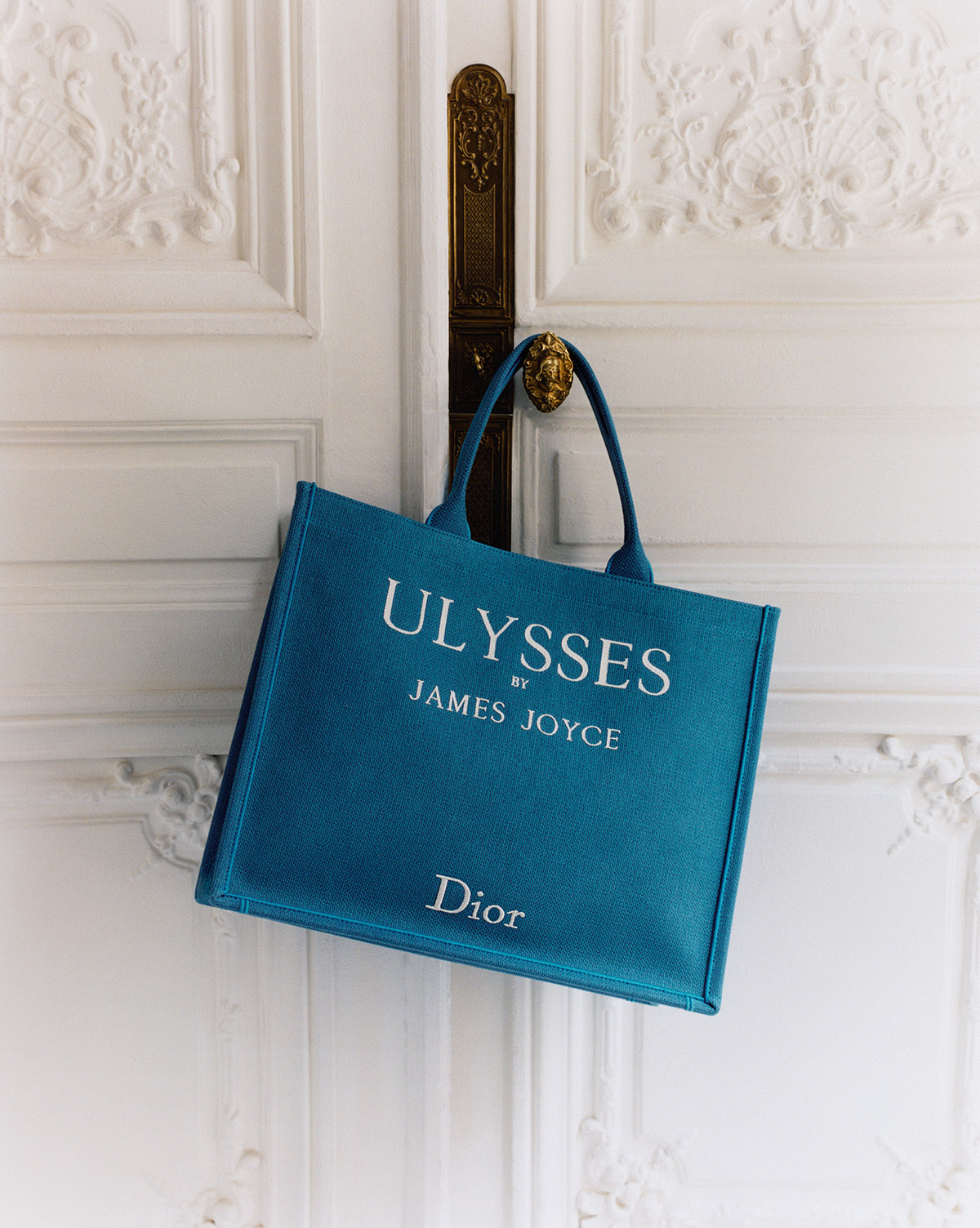 Dior Book Tote 2026